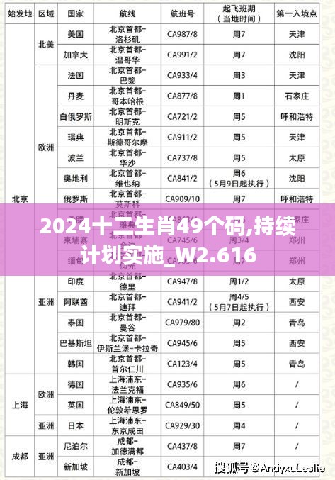 2024十二生肖49个码,持续计划实施_W2.616