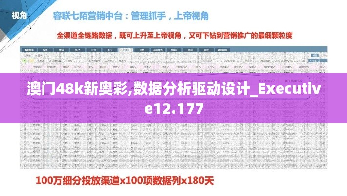 澳门48k新奥彩,数据分析驱动设计_Executive12.177