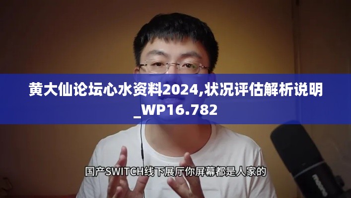 黄大仙论坛心水资料2024,状况评估解析说明_WP16.782