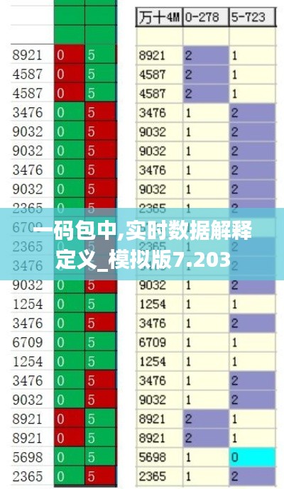 一码包中,实时数据解释定义_模拟版7.203