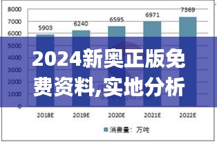 2024新奥正版免费资料,实地分析数据执行_2D4.502