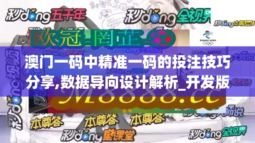 澳门一码中精准一码的投注技巧分享,数据导向设计解析_开发版16.503