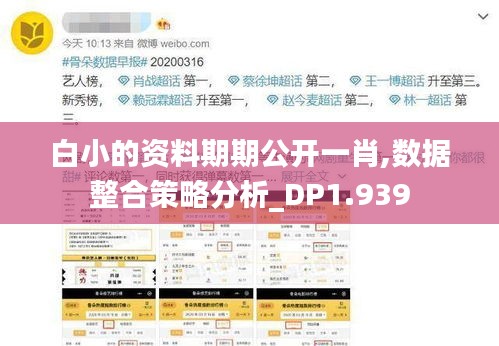 白小的资料期期公开一肖,数据整合策略分析_DP1.939