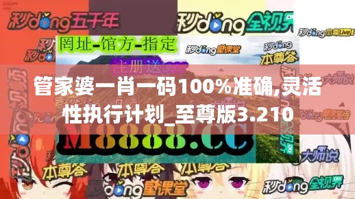 管家婆一肖一码100%准确,灵活性执行计划_至尊版3.210