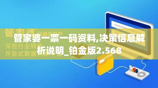 管家婆一票一码资料,决策信息解析说明_铂金版2.568