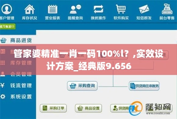 管家婆精准一肖一码100%l？,实效设计方案_经典版9.656