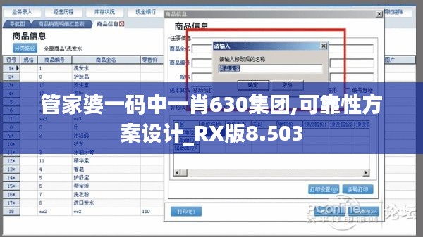 管家婆一码中一肖630集团,可靠性方案设计_RX版8.503