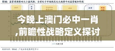 今晚上澳门必中一肖,前瞻性战略定义探讨_4DM1.551