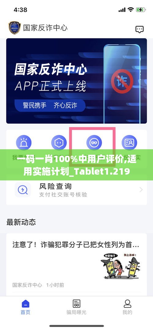 一码一肖100%中用户评价,适用实施计划_Tablet1.219