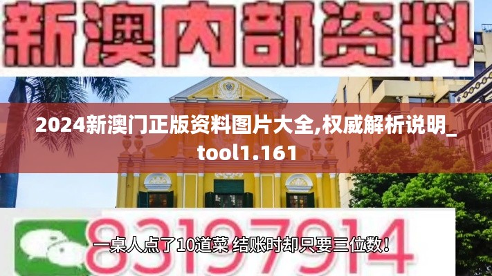 2024新澳门正版资料图片大全,权威解析说明_tool1.161