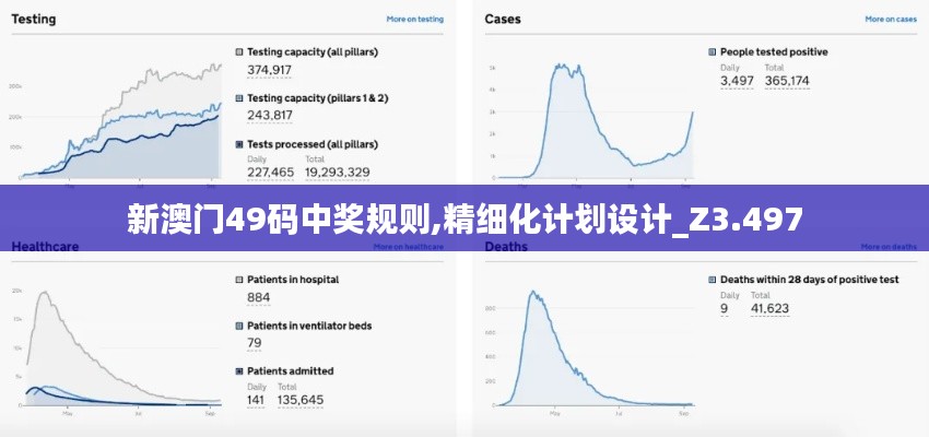 新澳门49码中奖规则,精细化计划设计_Z3.497