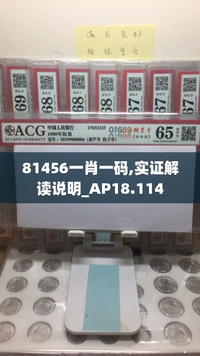 81456一肖一码,实证解读说明_AP18.114