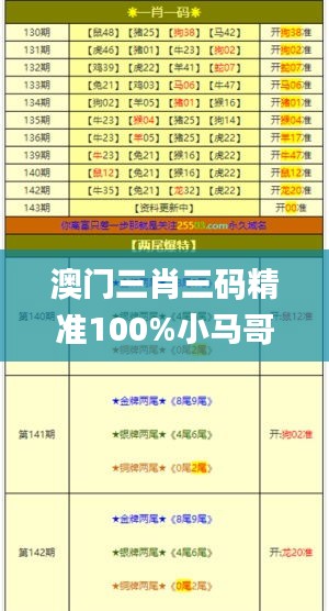 澳门三肖三码精准100%小马哥,实时解答解释定义_潮流版8.686