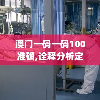 澳门一码一码100准确,诠释分析定义_移动版9.508