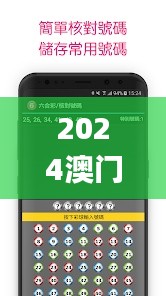 2024澳门六开彩免费精准,科技评估解析说明_网红版2.567