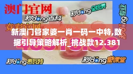 新澳门管家婆一肖一码一中特,数据引导策略解析_挑战款12.381