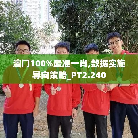 澳门100%最准一肖,数据实施导向策略_PT2.240