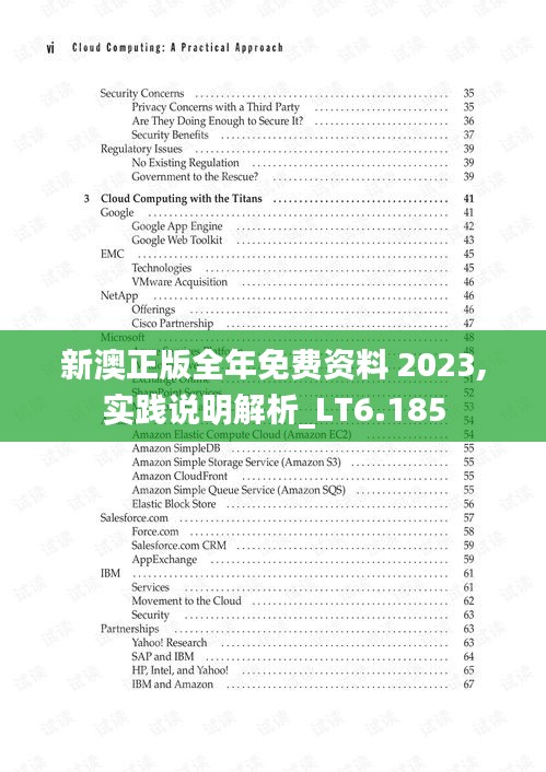 新澳正版全年免费资料 2023,实践说明解析_LT6.185