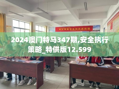 2024澳门特马347期,安全执行策略_特供版12.599