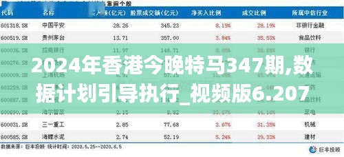 2024年香港今晚特马347期,数据计划引导执行_视频版6.207