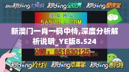 新澳门一肖一码中恃,深度分析解析说明_YE版8.524