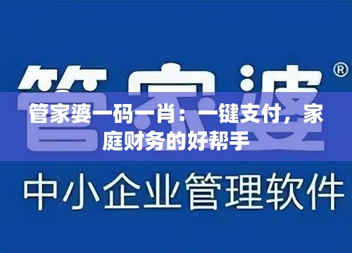 管家婆一码一肖：一键支付，家庭财务的好帮手