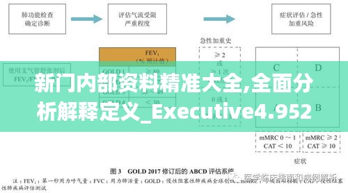 新门内部资料精准大全,全面分析解释定义_Executive4.952