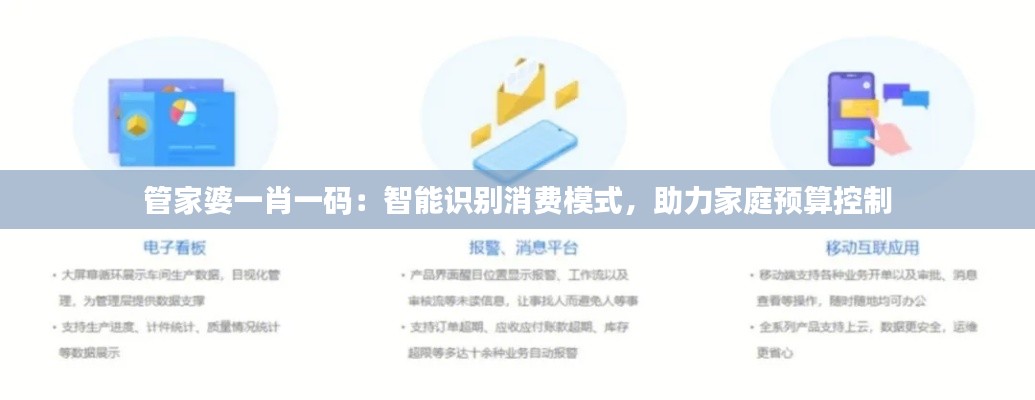 管家婆一肖一码：智能识别消费模式，助力家庭预算控制