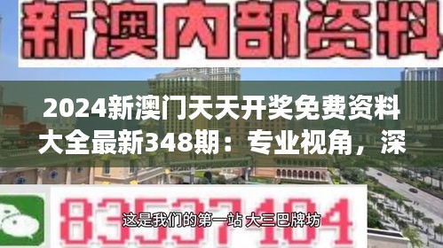 2024新澳门天天开奖免费资料大全最新348期：专业视角，深度分析每一天