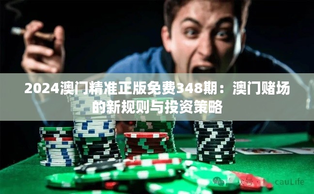 2024澳门精准正版免费348期：澳门赌场的新规则与投资策略