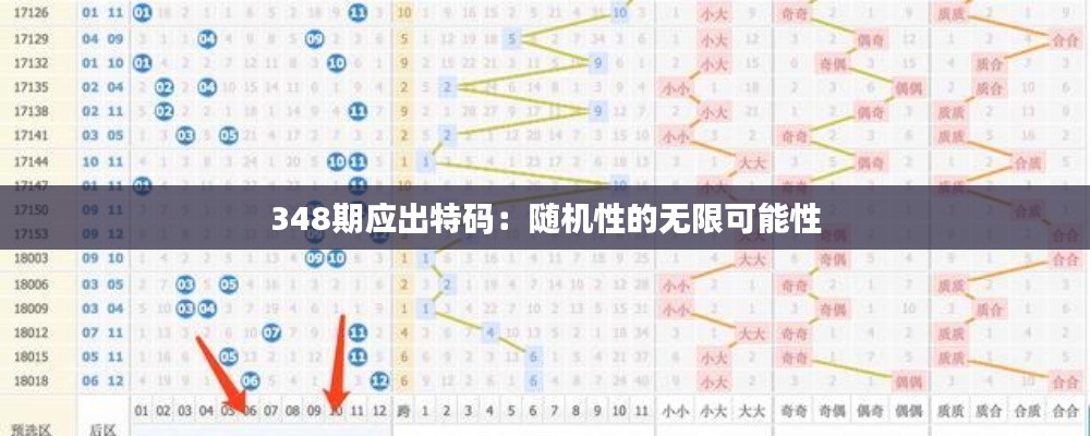 348期应出特码：随机性的无限可能性