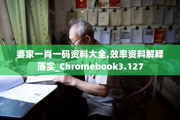 婆家一肖一码资料大全,效率资料解释落实_Chromebook3.127