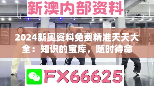 2024新奥资料免费精准天天大全：知识的宝库，随时待命