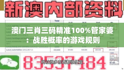 澳门三肖三码精准100%管家婆：战胜概率的游戏规则