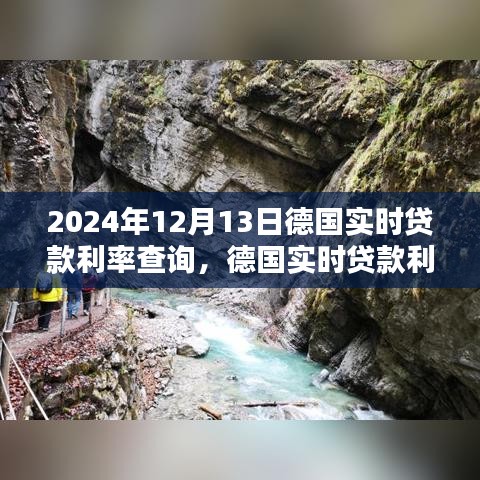 2024年德国实时贷款利率查询指南，轻松获取贷款利率