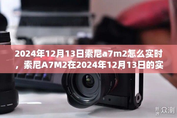 索尼A7M2在2024年12月13日的实时应用表现详解与观点探讨