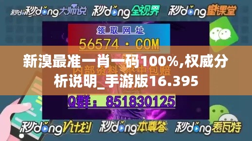 新溴最准一肖一码100%,权威分析说明_手游版16.395