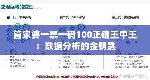 管家婆一票一码100正确王中王：数据分析的金钥匙
