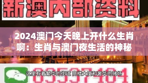 2024澳门今天晚上开什么生肖啊：生肖与澳门夜生活的神秘联系