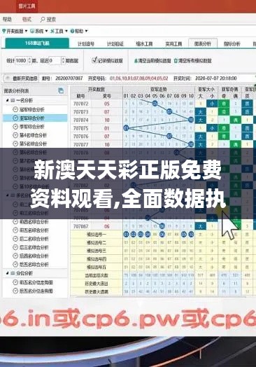 新澳天天彩正版免费资料观看,全面数据执行方案_M版5.969