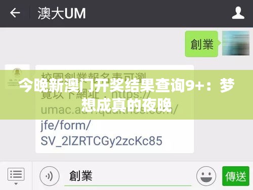 今晚新澳门开奖结果查询9+：梦想成真的夜晚