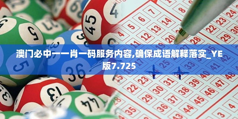 澳门必中一一肖一码服务内容,确保成语解释落实_YE版7.725