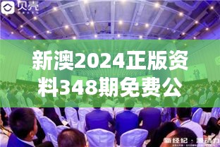 新澳2024正版资料348期免费公开：信息时代的领航灯