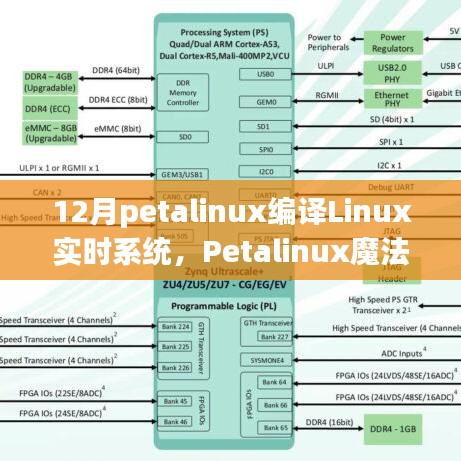 2024年12月14日 第49页