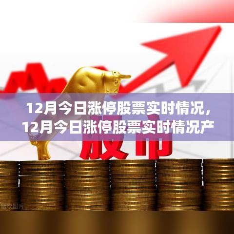 12月今日涨停股票实时情况深度解析与产品评测