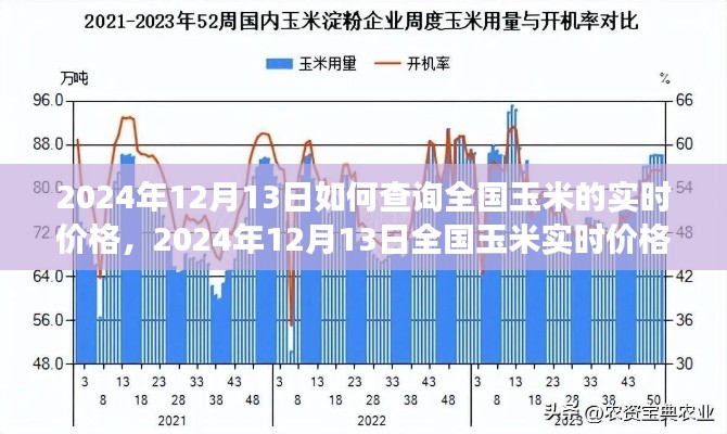 2024年12月13日全国玉米实时价格查询攻略及市场走势深度分析