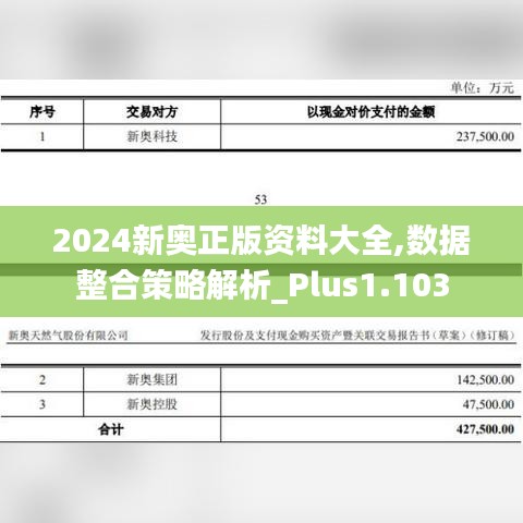 2024新奥正版资料大全,数据整合策略解析_Plus1.103