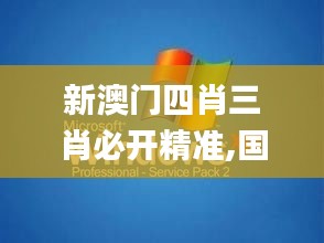 新澳门四肖三肖必开精准,国产化作答解释定义_XP13.706