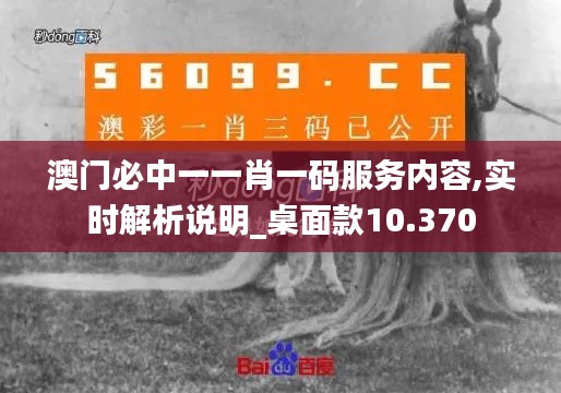 澳门必中一一肖一码服务内容,实时解析说明_桌面款10.370