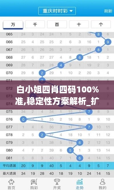 白小姐四肖四码100%准,稳定性方案解析_扩展版9.493